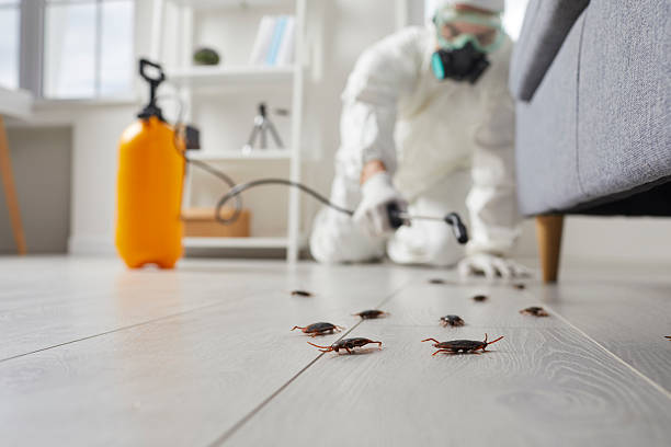 Commercial Kitchen Cockroach Control in Pine Ridge at Crestwood